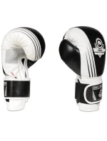 Boxerské rukavice 10oz - Edge - Valor Series