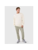 Pánska nadrozmerná mikina s kapucňou 4F 4FWSS25TSWSM1536-80S-12S pánska