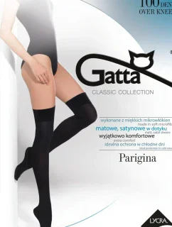 PARIGINA 100 - Hladké nadkolienky 100 DEN