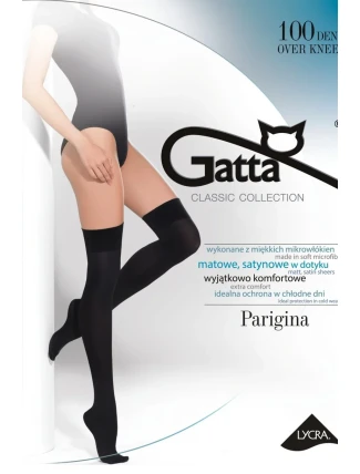 PARIGINA 100 - Hladké nadkolienky 100 DEN