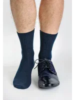 Pánske ponožky Regina Socks Froté Bambus