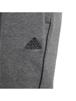 Chlapčenské nohavice Core 18 Sweat JR CV3957 - Adidas