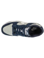 Nike Dunk Low Retro M IB3079-400