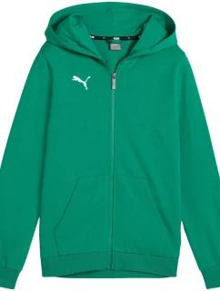 Puma teamGoal Casuals zelená 658596 05