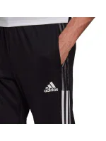 Pánske tepláky TIRO21 TRACK PANT M GH7305 - Adidas