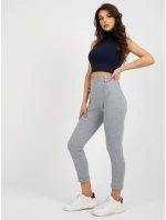 Tepláky RV DR 7731.19 sivé