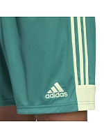Pánske šortky M Tastigo 19 DP3251 - Adidas