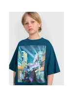 Chlapčenské tričko nadrozmernej veľkosti s potlačou 4F 4FJRAW25TTSHM3061-46S