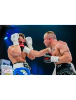 Rukavice Wolf L 8 oz 1005228OZ - Yakimasport