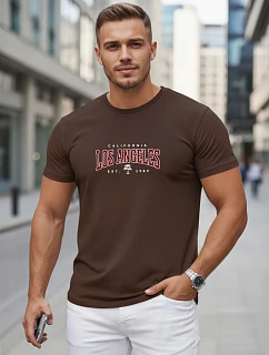 Pánske bavlnené tričko s nápisom, hnedé, FashionStreet NX5136R