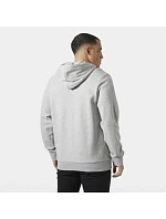 Helly Hansen pánska mikina HH LOGO HOODIE 54582 949 pánska