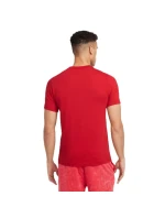 Tričko Nike Liverpool FC M HJ4268-687 pánske