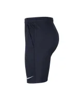 Pánske šortky Dri-FIT Park 20 M CW6152-451 - Nike