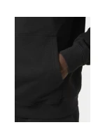 Helly Hansen Core Graphic Sweat Hoodie M 53924 993 Helly Hansen Core Graphic Sweat Hoodie M 53924 993