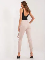 Tepláky RV DR 9629.82 béžová Tepláky RV DR 9629.82 béžová