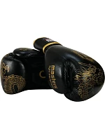 Boxerské rukavice RBT-DRAGON 12 oz
