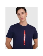 Pánske tričko s potlačou 4F 4FRAW25TTSHM3225-31S