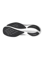 Topánky Mizuno Wave Rider 29