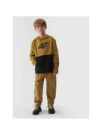 Mikina 4F Jr 4FJAW23TSWSM628-74S