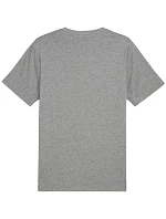 Puma Ess Small No.1 Logo Tee M 682534 03 Pánske