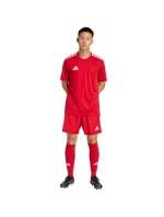 Šortky adidas Tastigo 25 M JN7157