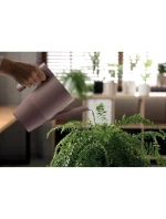 Kanva IBIS zelená borovica detské