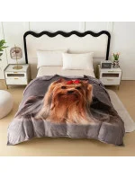 Bavlnená deka Cotton World Touch Animal, Motor 160x200