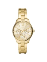 Dámske hodinky FOSSIL Rye BQ3692+ BOX Dámske hodinky FOSSIL Rye BQ3692+ BOX