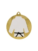 Zlatá medaila v džude/karate