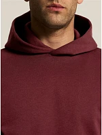 Craft Corporate Community 2.0 Hoodie M Pánska mikina s kapucňou 81.5327 leaf Craft Corporate Community 2.0 Hoodie M Pánska mikina s kapucňou 81.5327 leaf