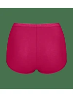 sloggi Basic+ Maxi C4P – hnedá kombinácia – SLOGGI hnedá kombinácia – SLOGGI sloggi Basic+ Maxi C4P – hnedá kombinácia – SLOGGI hnedá kombinácia – SLOGGI