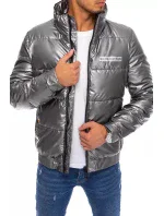 Pánska zimná bunda TX3860 Dark grey silver - Dstreet