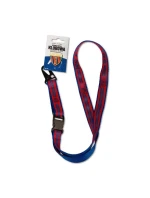 Šnúrka Polonia Bytom Premium Plus SREBBSP-SMYCZ