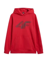 Mikina 4F M 4FWMM00TSWSM1766 062S men