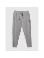 Pánske tepláky typu jogger 4F 4FRMM00TTROM1624-27M