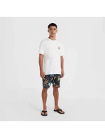 Plážové tričko s grafikou O'Neill M 92800613984 Plážové tričko s grafikou O'Neill M 92800613984