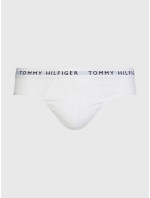 Pánske slipy 3-PACK ESSENTIAL BRIEFS UM0UM022060TG - Tommy Hilfiger