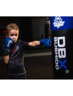 Detské boxerské rukavice 6oz - 4Fighter Blue