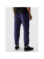 Pánske voľnočasové nohavice 4F 4FWMM00TTROM0944-31S