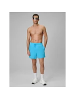 Pánske plážové šortky boardshorts 4F 4FRSS26UBDSM229-33S