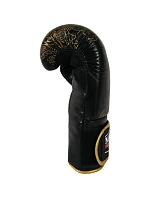 Boxerské rukavice RBT-DRAGON 12 oz
