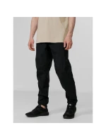 Pánske trekingové nohavice 4F H4L22-SPMTR063