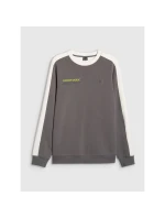 Pánska mikina s kapucňou 4F 4FRAW25TSWSM2457-23S bez svetra