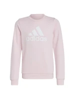 Mikina adidas Big Logo Swt Jr IC6119
