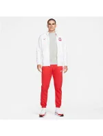 Pánska mikina Poland Hoody M DH4961 100 - Nike