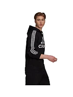 Adidas Essentials Hoodie M H14641 muži Adidas Essentials Hoodie M H14641 muži