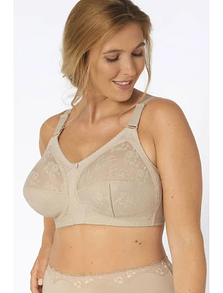 Soft model 229866 Triumph Soft model 229866 Triumph
