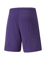 Puma teamRise Short Prist M 704942 10 Puma teamRise Short Prist M 704942 10
