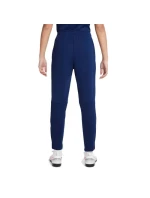 Zimné nohavice Nike Therma Fit Academy Warrior Jr DC9158-492