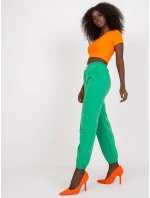 DHJ SP 15832 nohavice.64 zelených